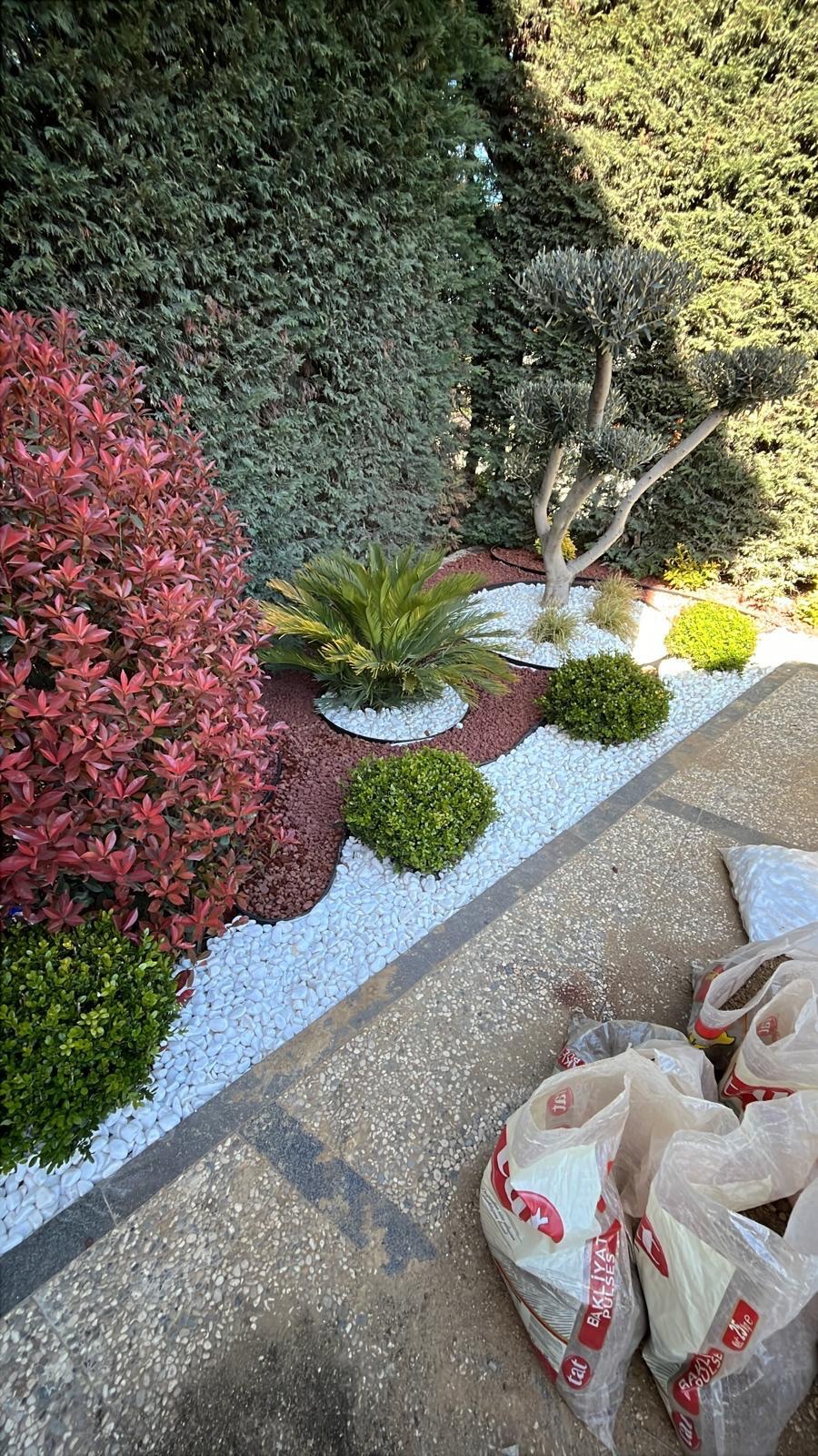 Beyaz taş, kırmızı taş ve bitkilerle bahçe detayı