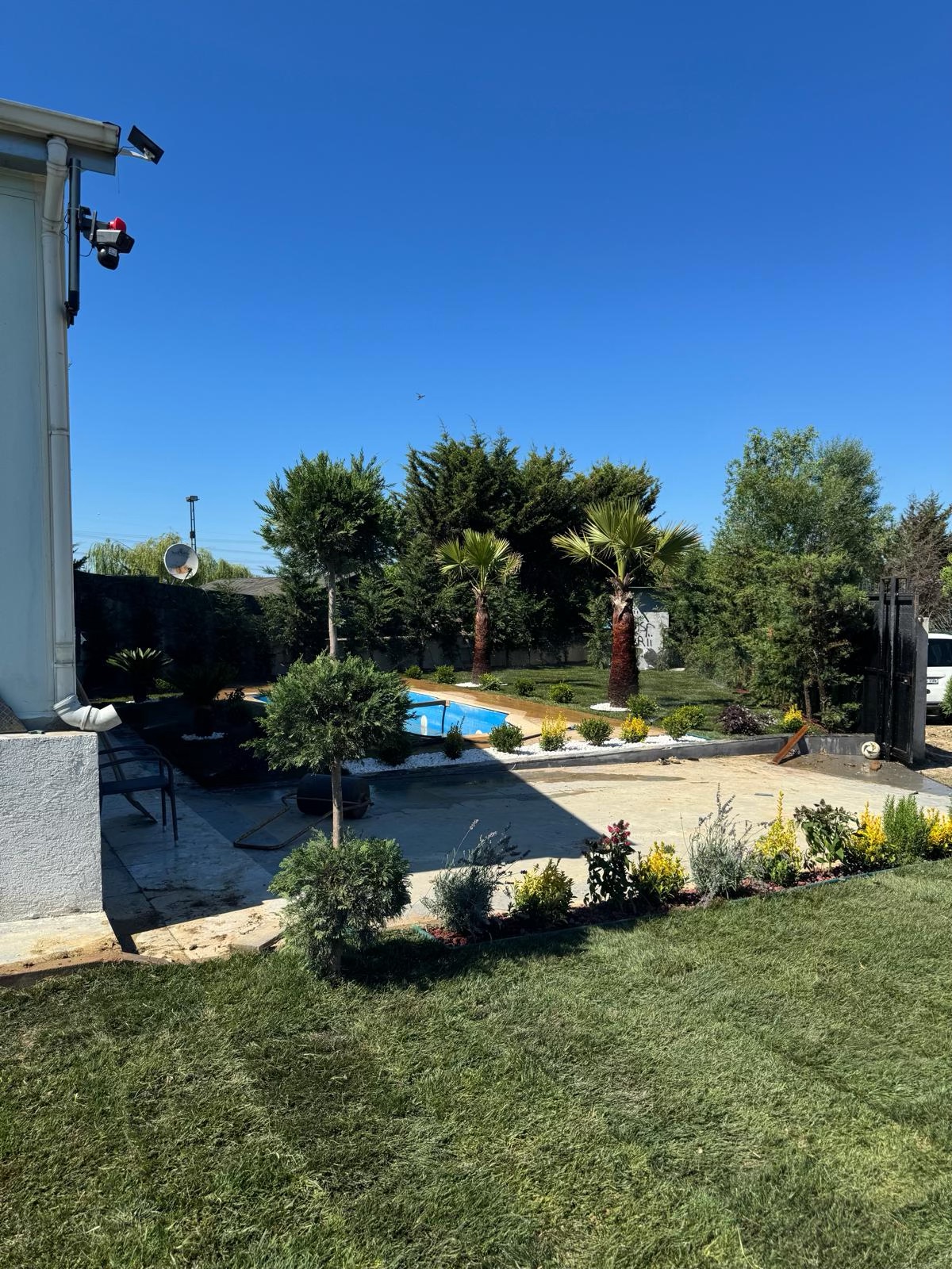 Havuz çevresinde palmiye ve çalılarla peyzaj uygulaması