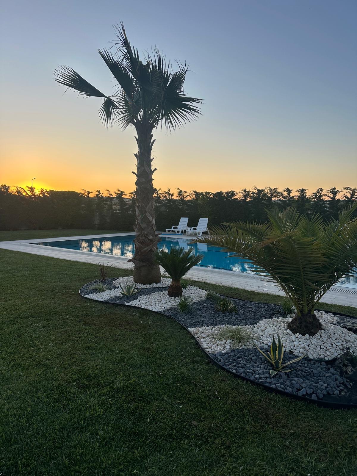 Modern villa bahçesinde peyzaj tasarım ve uygulama